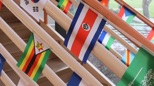 DEI Header Cultural Flags