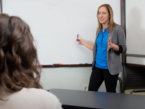 Shireen Rizvi, Ph.D - Clinical Psychology