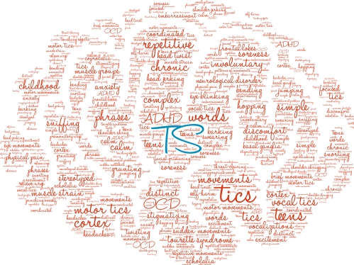 Tourette-Syndrome-Information