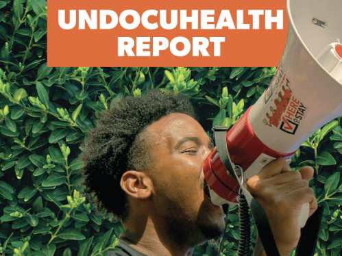 Undocuhealth Report