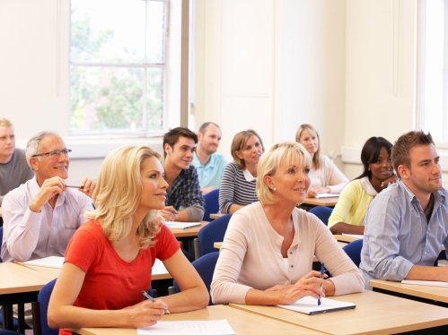 audit-course