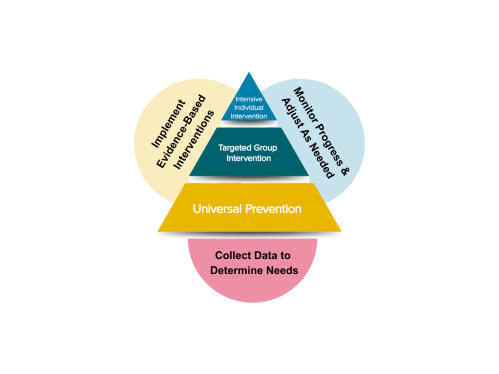 MTSS Triangle_Updated