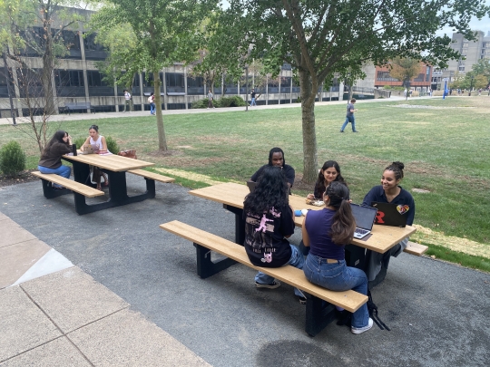 Picnic Tables - GSAPP Students
